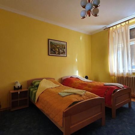 Apartment Roxana Nowy Sad Zewnętrze zdjęcie